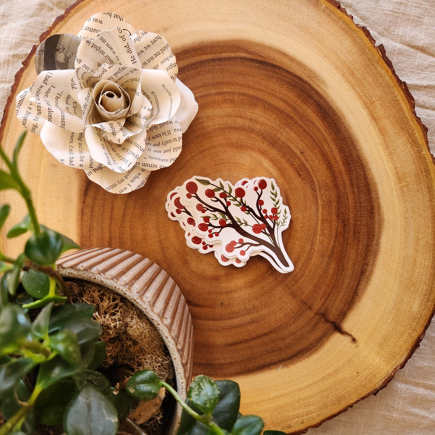 Cranberry Branch Sticker