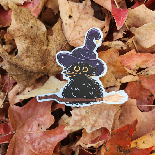 Witch Kitty