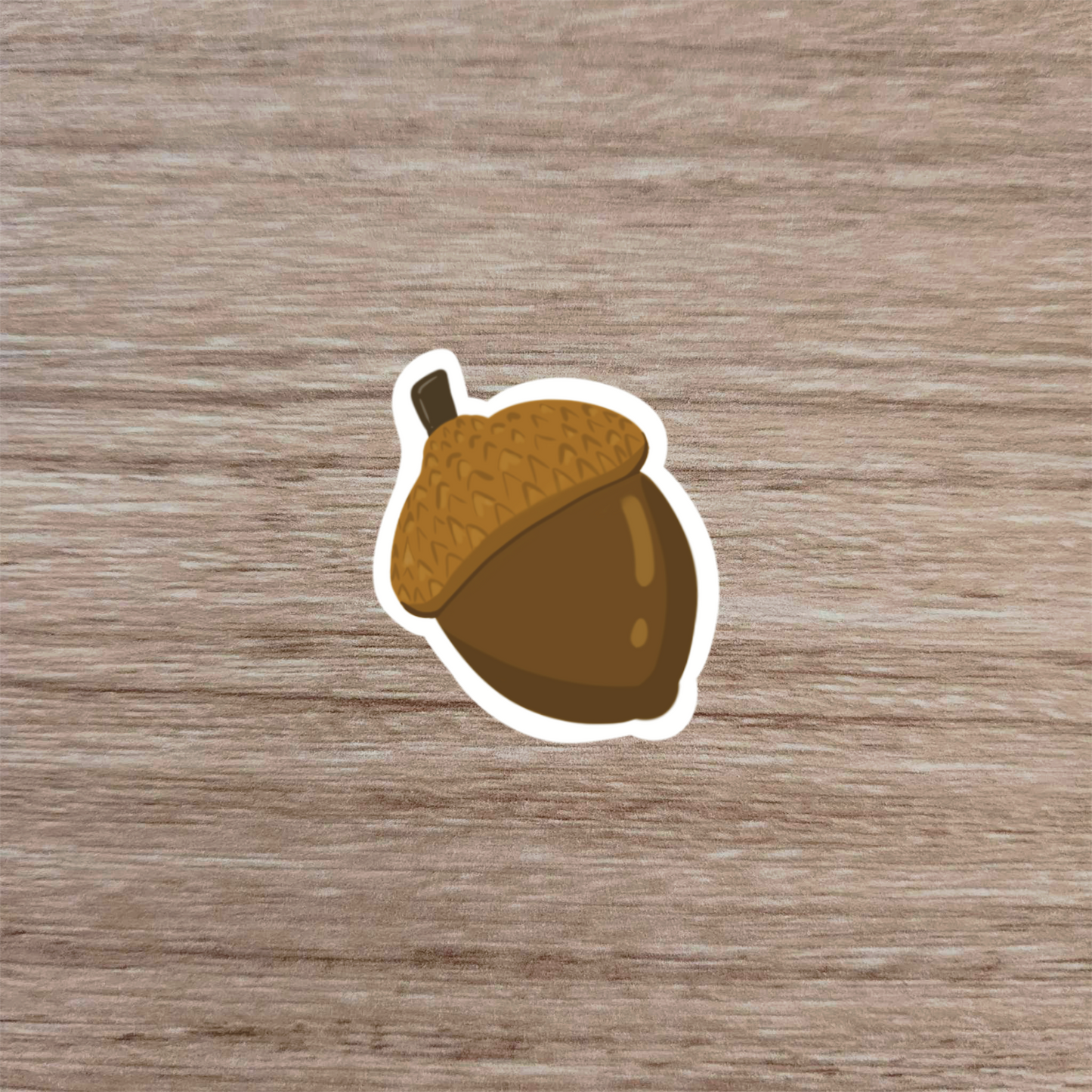 Acorn Sticker